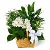 Peace And Serenity Dishgarden Online