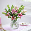 Pink Lily Love Online