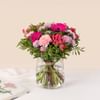 Pink Powdery softness - Douceur poudree Online