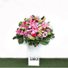 Pink Sensation Online
