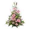 Pink Sympathy Online
