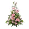 Pink Sympathy Online
