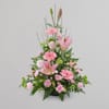 Pink Sympathy Online