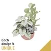 Planted Basket Online