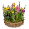 Planted Basket Colorful spring wreath Online