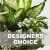 Planted Bowl Online