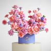 Gift Plum Melody