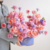 Shop Plum Melody