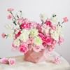 Plush in Pink Online