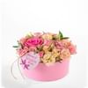 Princess 220463 Online