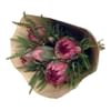 Protea Five Bunch Online