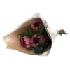 Protea Three Bunch Online