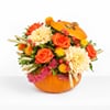 Pumpkin Season Online