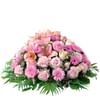 Pure rose Online