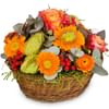 Pure Spring Online
