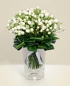 Purity Online