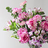 Buy Purple Garden Delight