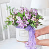 Buy Purple Hues