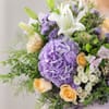 Buy Quiet Romance of Spring