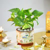 Gift Radiant Rituals