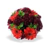 Red Bunch SML Online