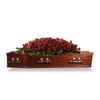 Red Coffin Spray Online