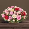 Rosae Online