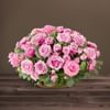 Rosae rose Online