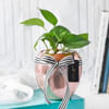Gift Rose Gold Good Luck Pot