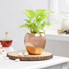 Gift Rose Gold Good Luck Pot