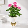 Rose Radiance Charm