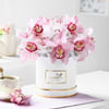 Gift Rosy Blush