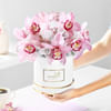 Buy Rosy Blush
