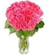Rosy Reveries Online