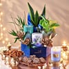 Season of Prosperity Online