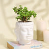 Buy Serene Jade Plant in a  Buddha Planter