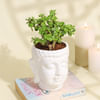 Gift Serene Jade Plant in a Ceramic Buddha Planter