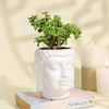 Buy Serene Jade Plant in a Ceramic Buddha Planter