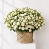 Serene White Rose Basket