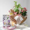 Serenity in a Basket