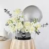 Gift Silver Grace Floral Gift Arrangement