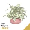 Single Plant Online