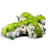 Small cross in white and green Online