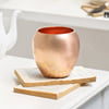 Shop Snake Plant in Copper Planter