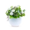 SNOW-WHITE ELEGANCE Online