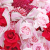 Shop Soft 48 Pink & Red Roses Bow Bouquet
