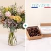 Sorbet and chocolates - Sorbet et chocolats Online