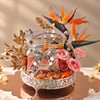 Gift Sparkles of Opulence