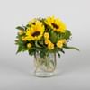 Spring Sunflowers Online
