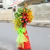 Standing Arrangement Online